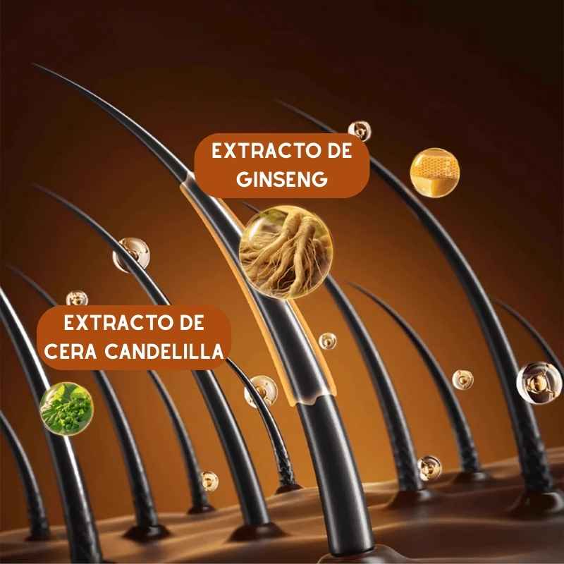 Raíz Perfecta – Arregla raíces en un toque ✅